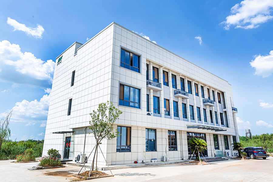 Företag Real Picture